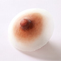 人工の乳頭乳輪